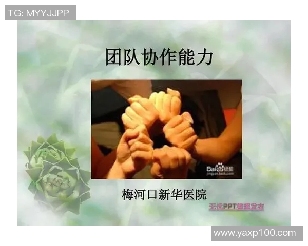 深圳排球队的默契配合与战术探讨：聚焦团队协作与比赛表现