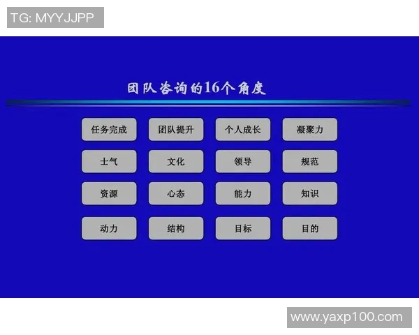 西安羽毛球队团队协作的独特优势与其他球队的对比分析