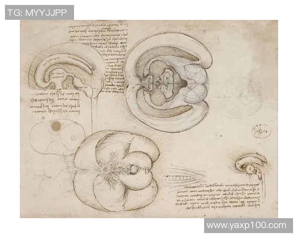 全球足球巨星的风采与传奇人生素描解析 全球足球巨星的风采与传奇人生素描解析