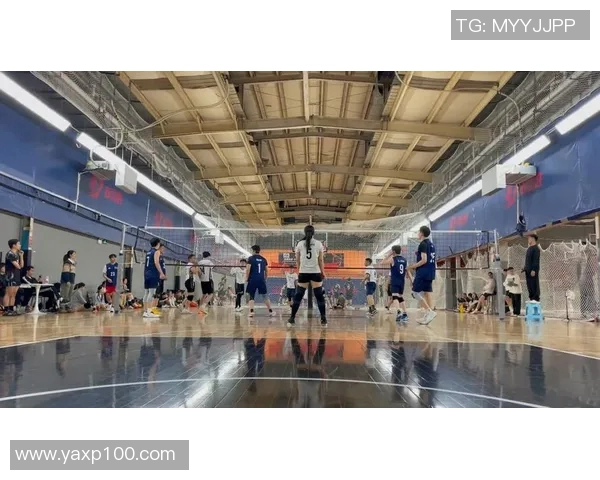 南京排球队排球意识创新高引领全国水平提升新篇章