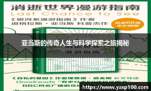 VSport胜利因您更精彩